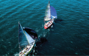 sailing, racing, sustainability