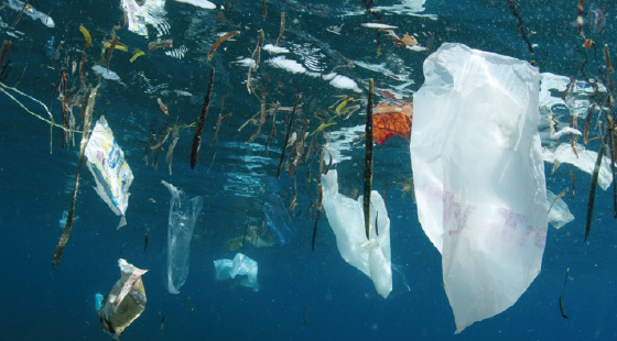 plastic pollution, plastic waste, pollution, marine debris