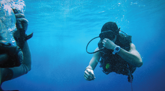 scuba diving, invasive species