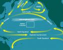 Pacific Ocean Currents