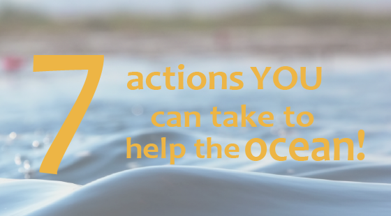 Seven actions you can take to help the ocean!