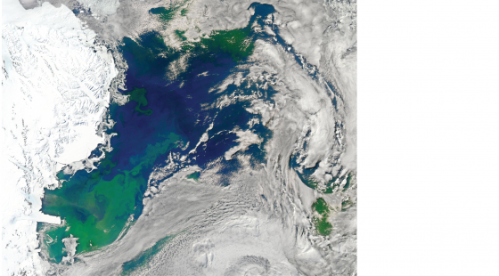 Ross Sea, Antarctica, phytoplankton