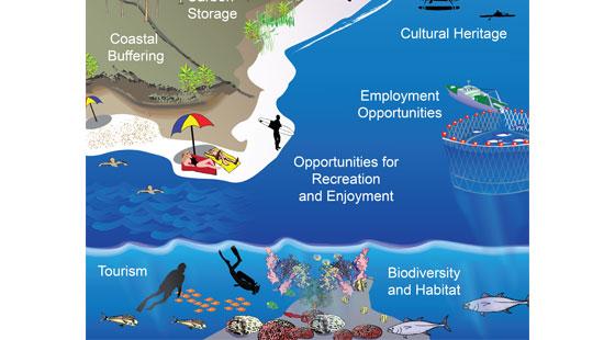 coastal ecosystem services