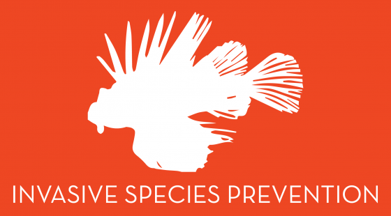 invasive species prevention