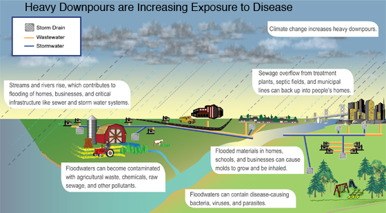 Heavy Downpours are increasing exposure to disease
