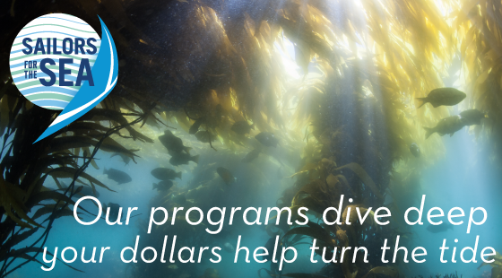 our programs dive deep your dollars help turn the tide