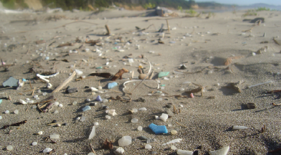 plastic pollution, microplastic