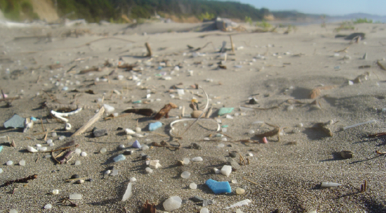 marine science, plastic pollution
