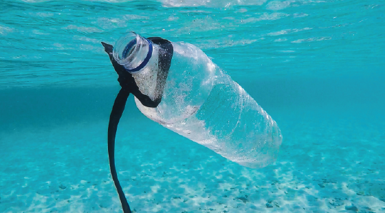 plastic pollution, plastics, marine debris