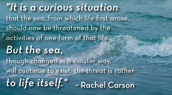 Rachel Carson Quote, Ocean Conservation Quote