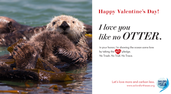 Valentine's Day e-card, I love you like no otter, 