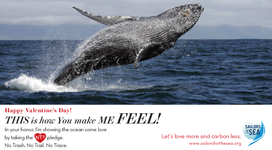 Valentine's Day e-card, whale, feel, love