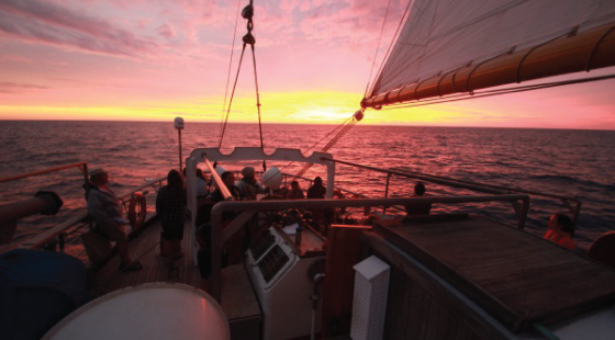 New Zealand, onboard reporter, tall ships, sailing