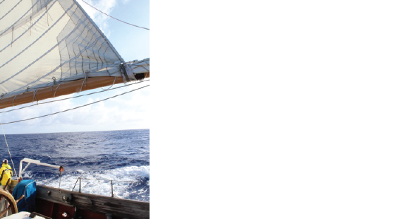 sailing, marine science, tall ship