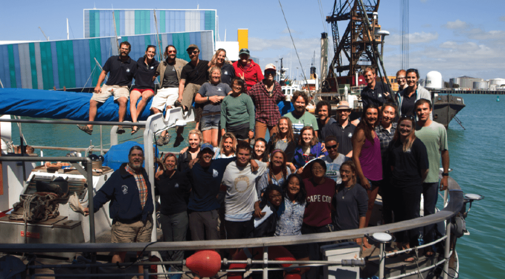Sea Org Conservation Archives - Sailors for the Sea