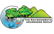 The Environmental Awareness Group