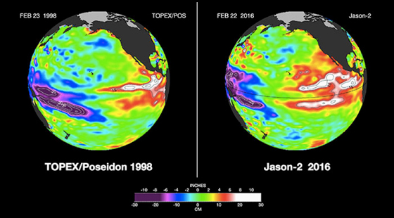 1998 El Niño compared to the 2016 El Niño while looking at sea surface height in the Pacific Ocean.