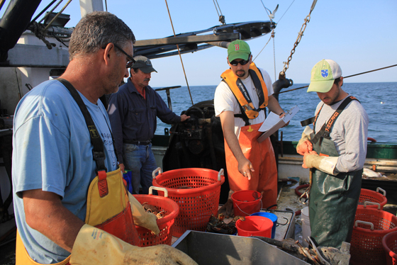 Fisheries Survey