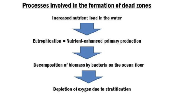 Formation of dead zones