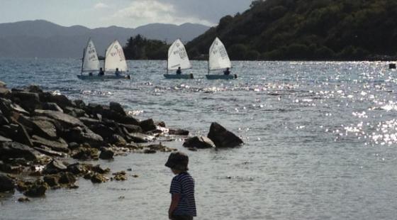 child admiring sailboats 