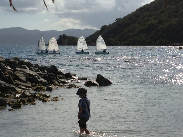 child admiring sailboats