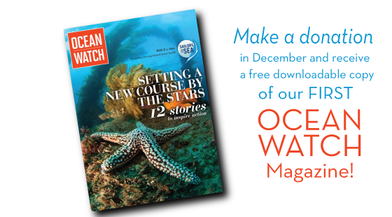 make a donation to get a free online copy of Ocean Watch Magazine
