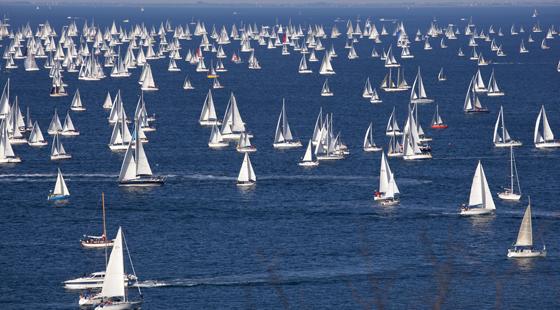 many sailboats, lake full of sailboats