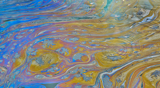 oil sheen on water