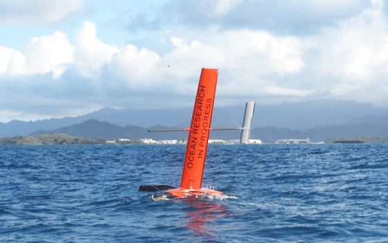 Saildrone in Hawaii