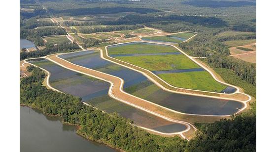 wetlands that filter treated water that recharges groundwater and supplies surface reservoirs