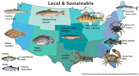 Local and sustainable options for seafood.