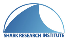 Shark Research Institute