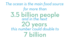 The main food source for more than 3.5 billion people comes from the ocean. In the next twenty years this number could double to seven billion who depend on the ocean for their survival.